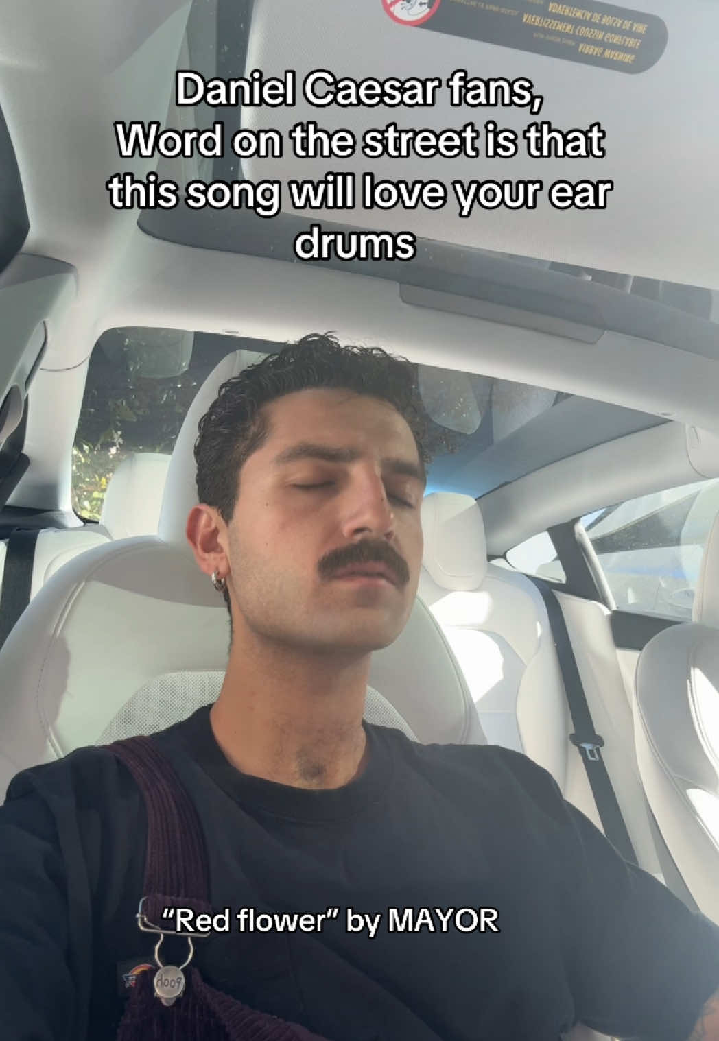 @MAYOR