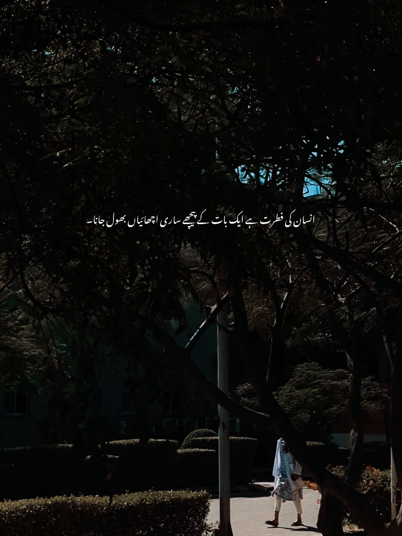 @𝙎 𝘼 𝙈 𝙄