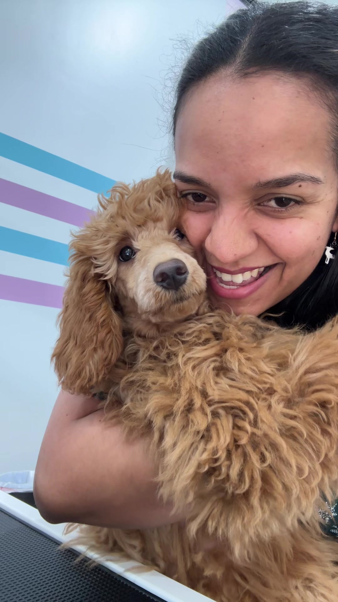 @Sincere Groomer
