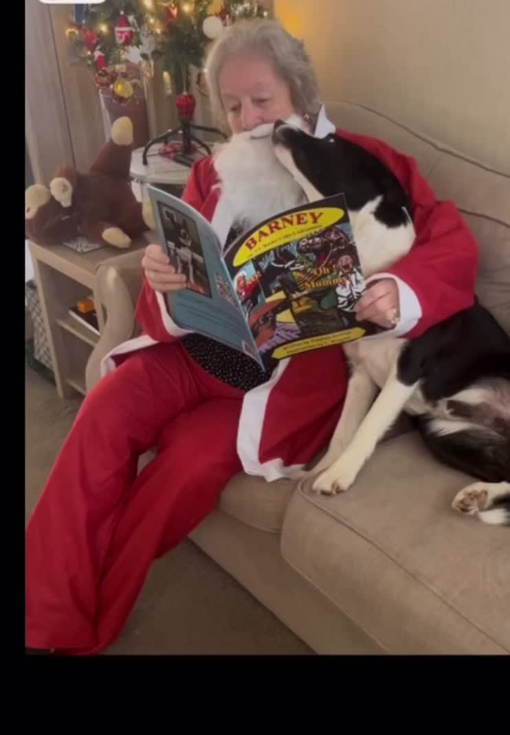 Barney the Tv border collie (@barneythetvbordercollie) - Urlebird