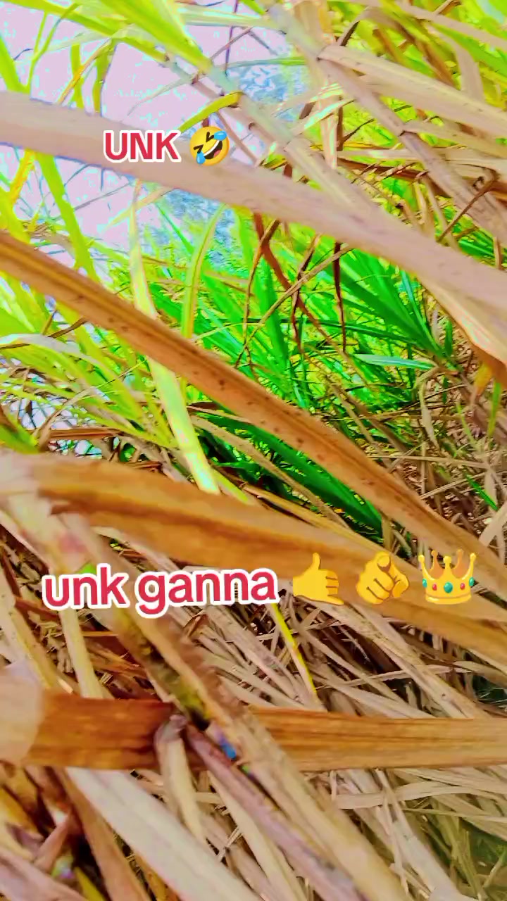 @Jay Shee ram ♈