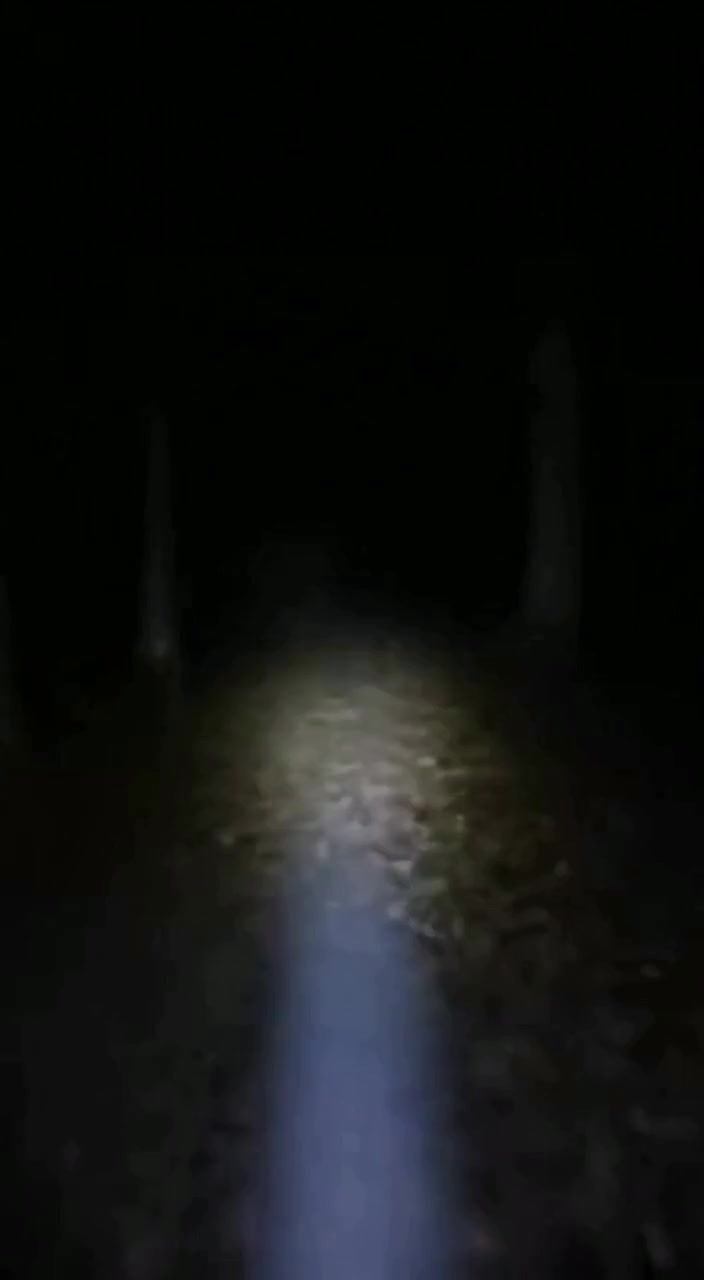 @Found Footage AI