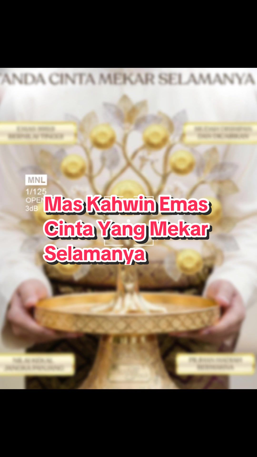 @ibadurrahman _notaemas