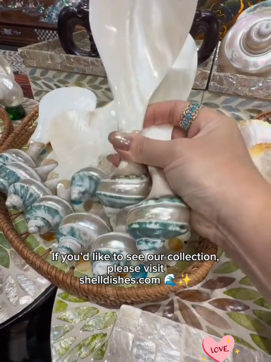 @Dishes Glow-🖇️ in Bio