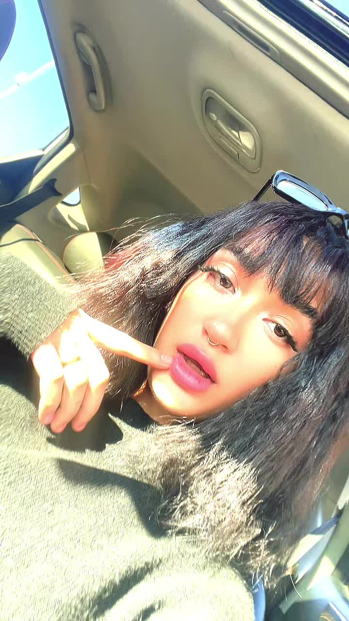 @sonia shahrokhi