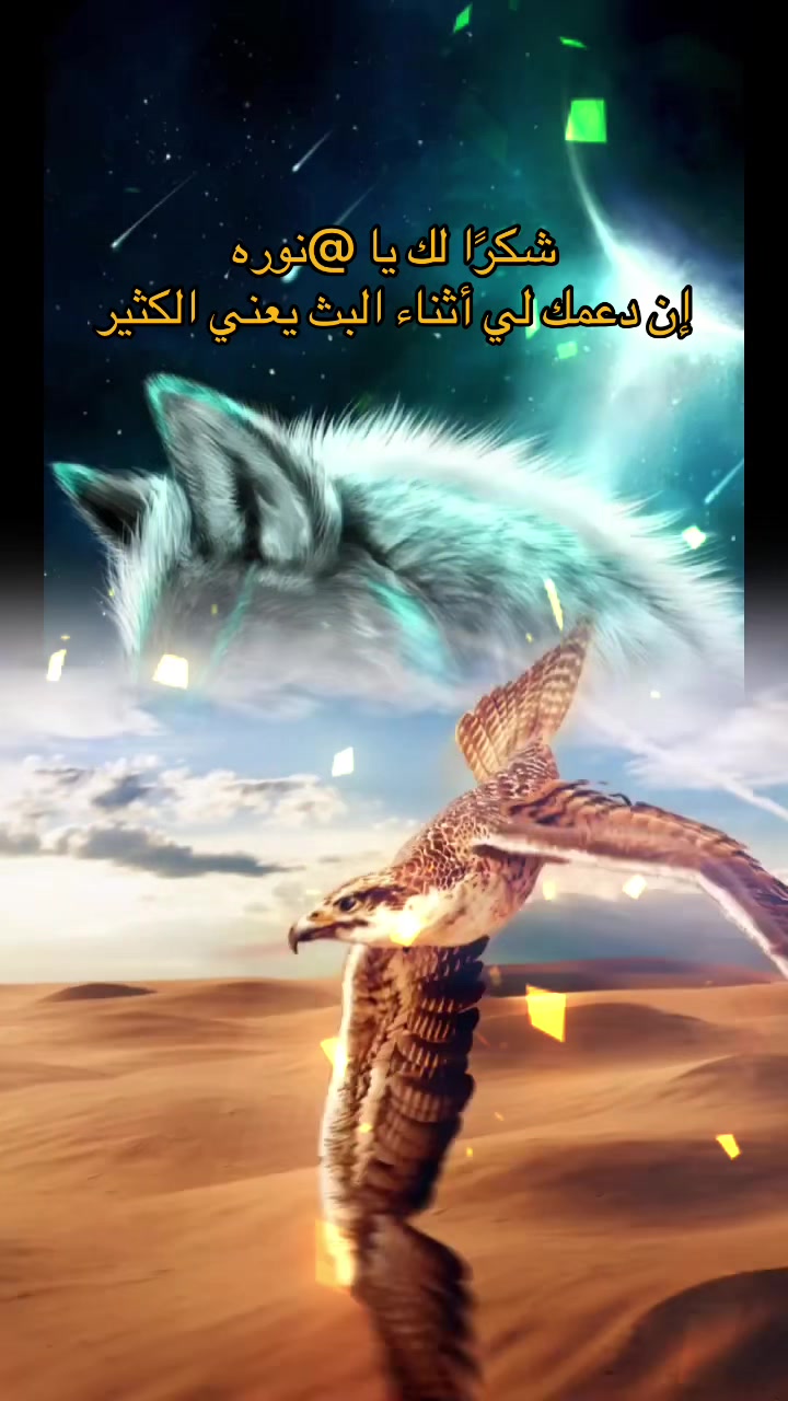 @🇦🇪نوافينهو🇦🇪