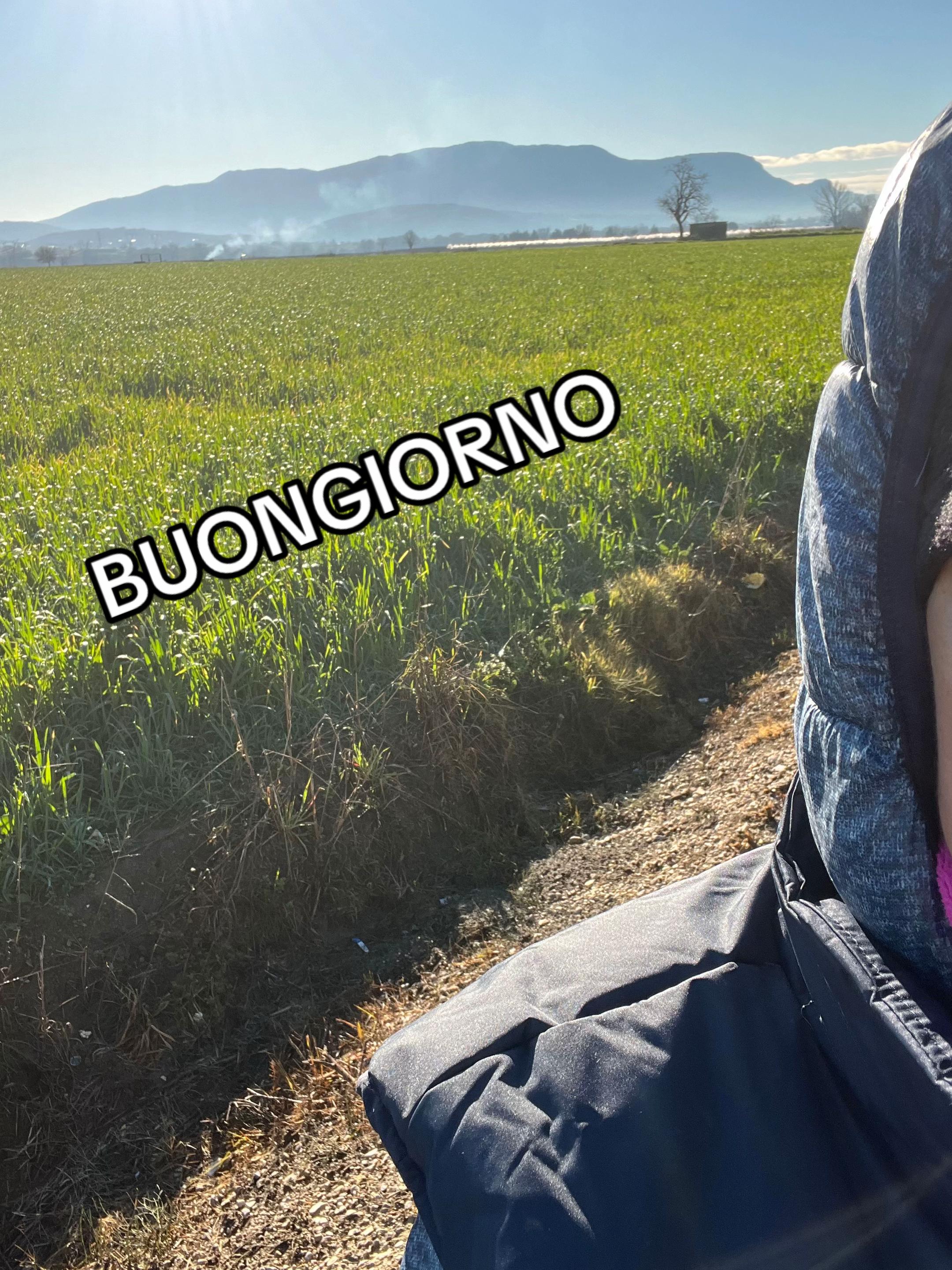 @😂briciola tigre selvaggia🥰