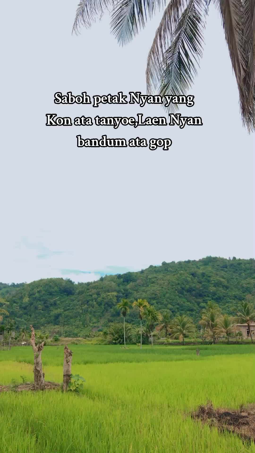 @Bunga