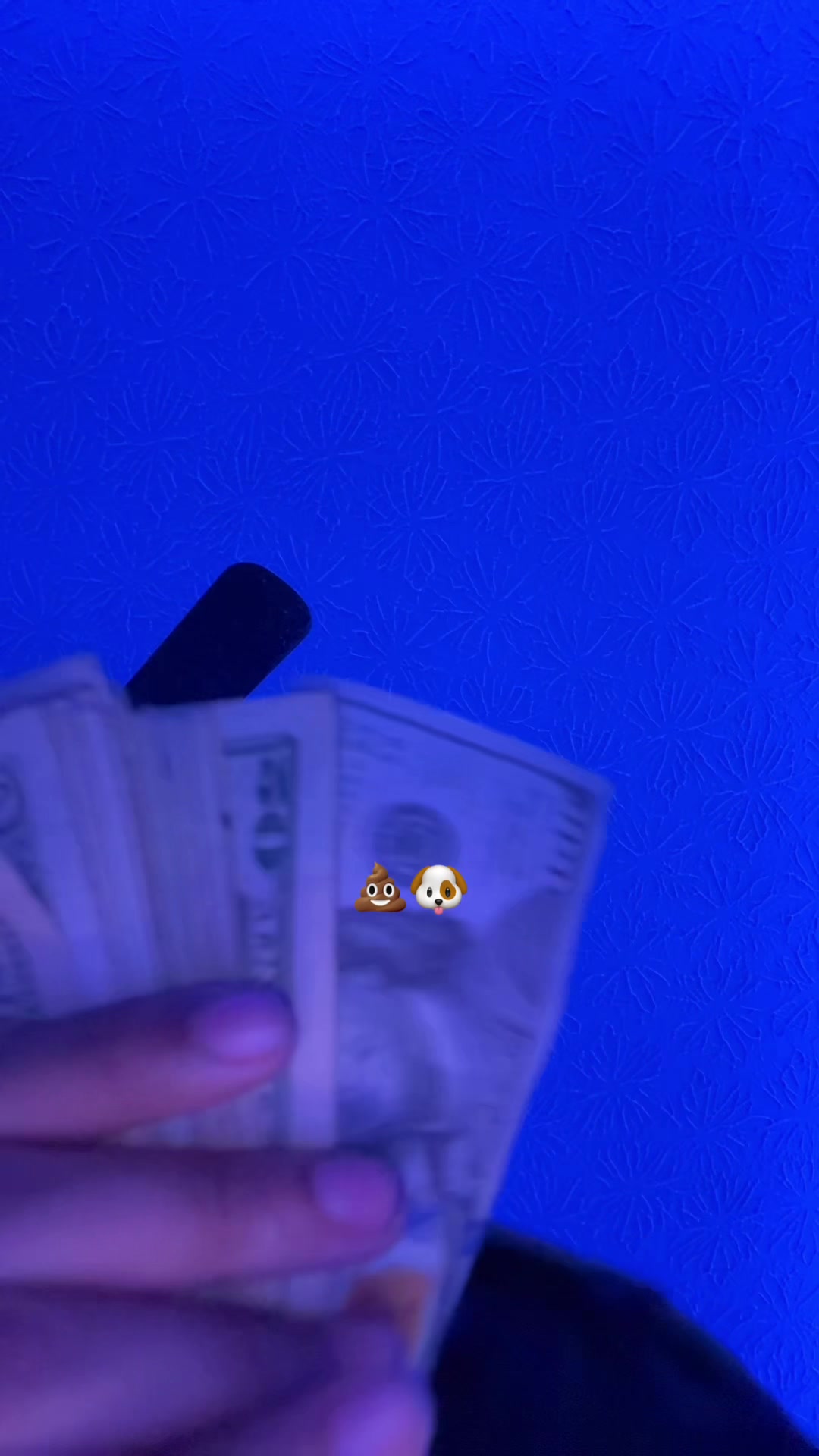 @luhturntk5