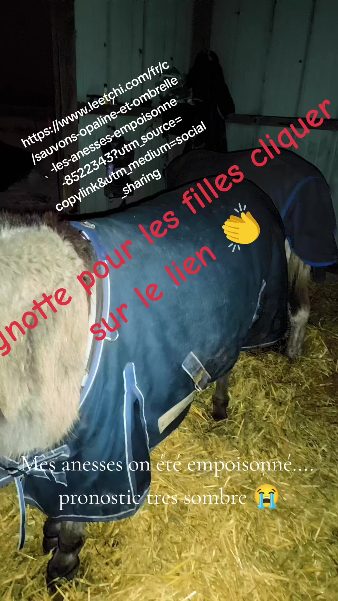 @Juliefreya