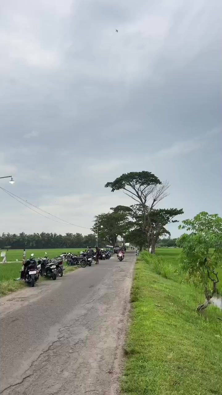 @𝓕. 𝓫𝓮𝓵𝓾𝓶𝓼𝓮𝓶𝓫𝓾𝓱