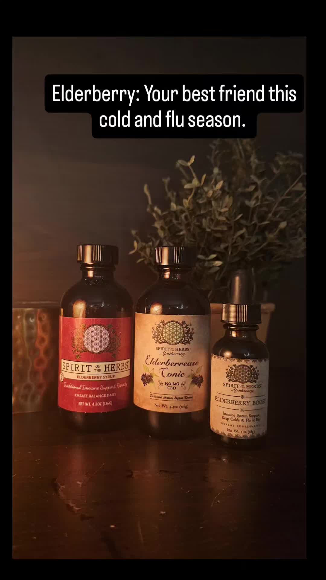 @Spirit of the Herbs