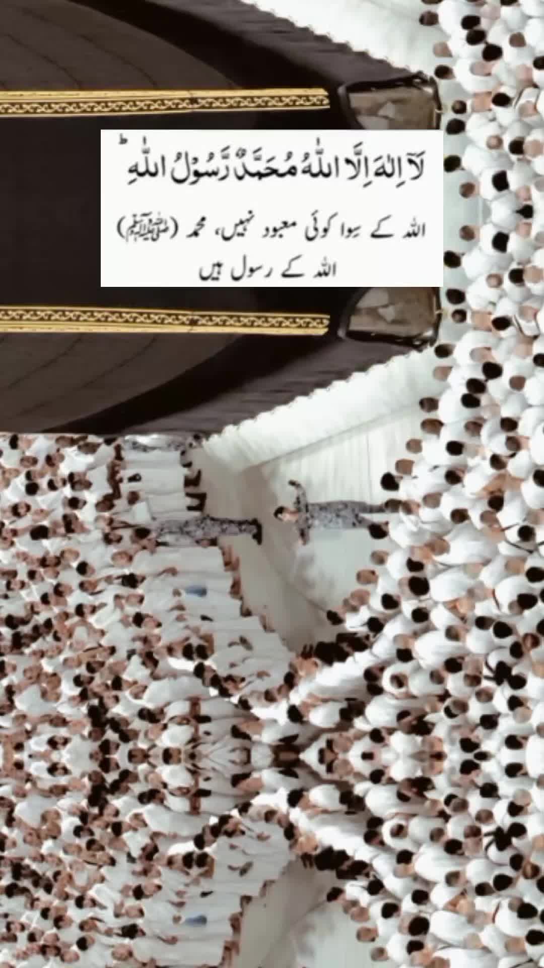 @Noor uk