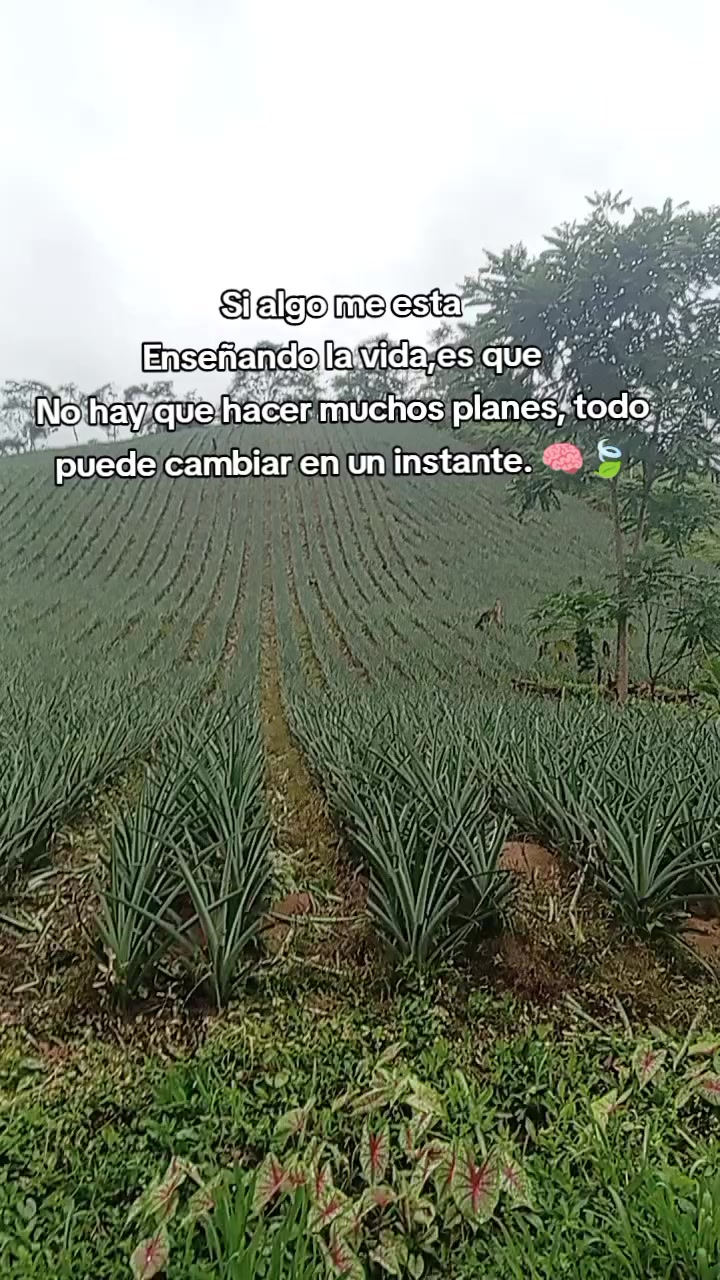 @YURI ROJAS