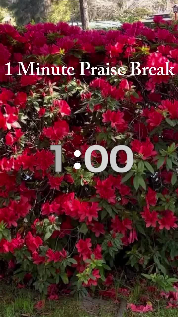 @ThePraiseSpot