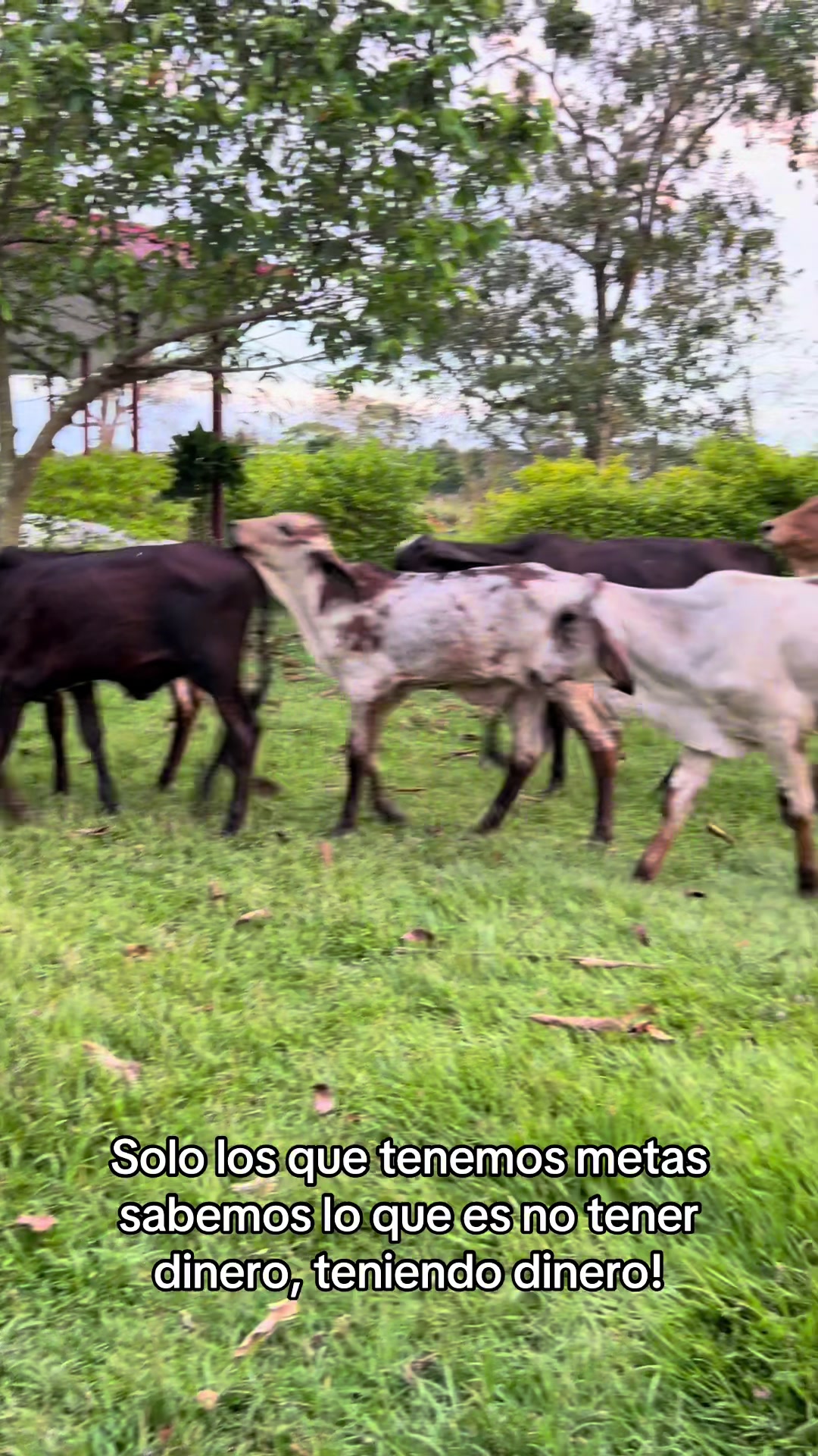 @Aleja🐴
