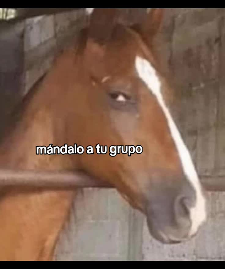 @Kevin Esnaider