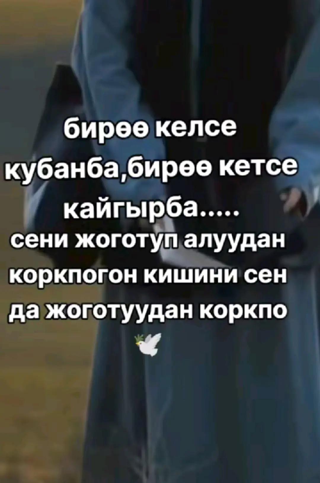 @Mirzada