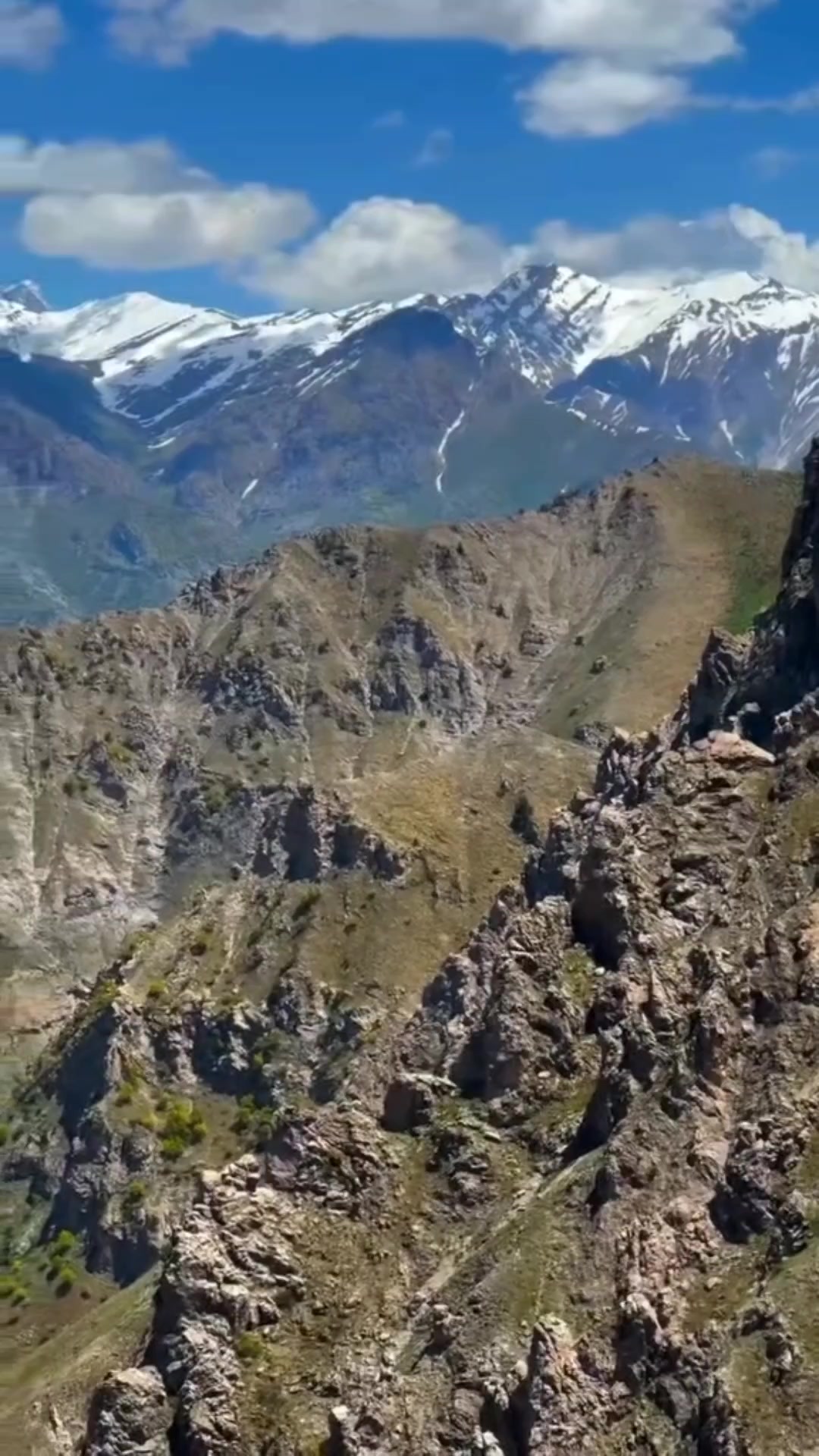 @devran🕊️