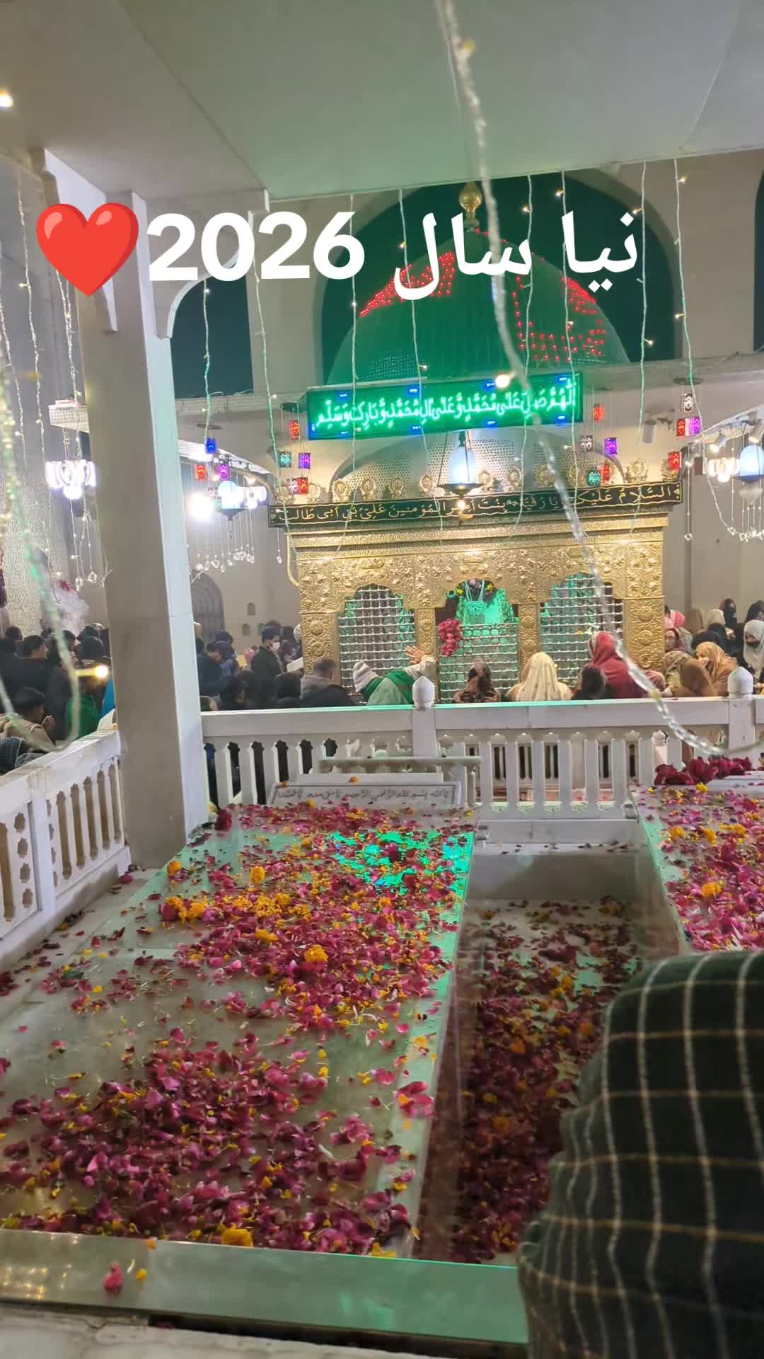 @Sultan sahi🩷