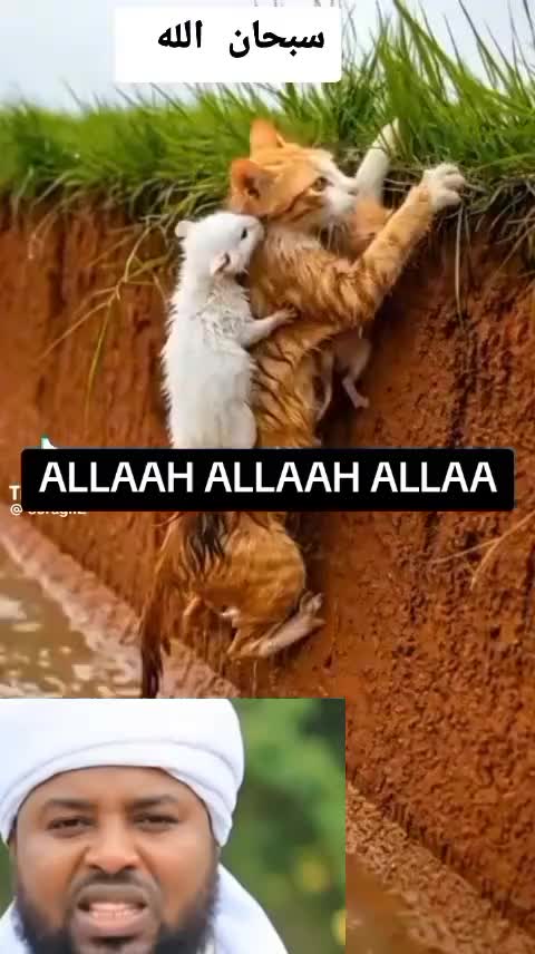 @ALI SHAKOTI