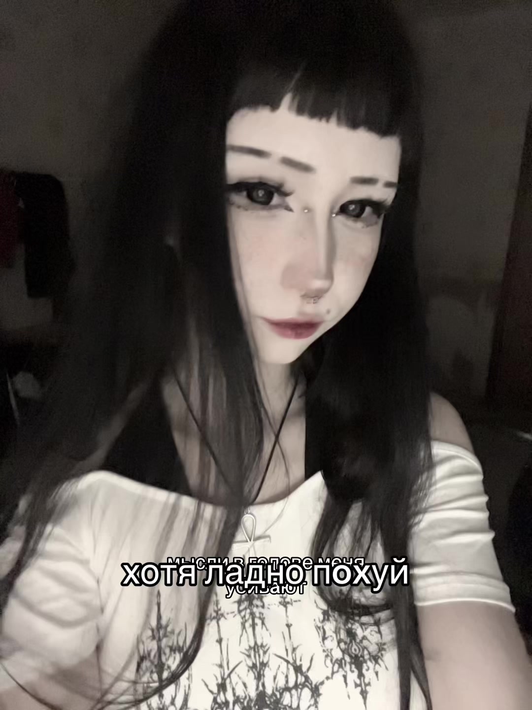 @gavki