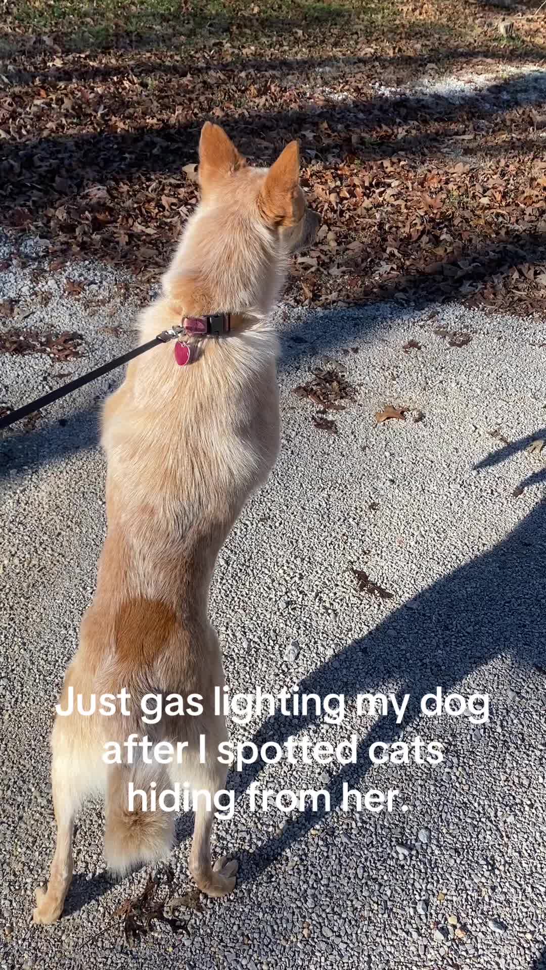 @Hikerdnd