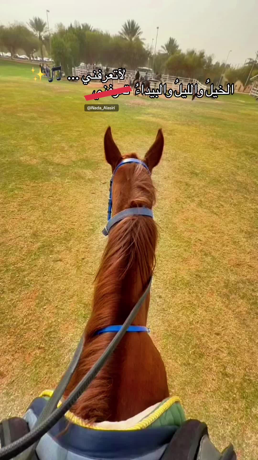@Nada Al-Asiri 🇸🇦