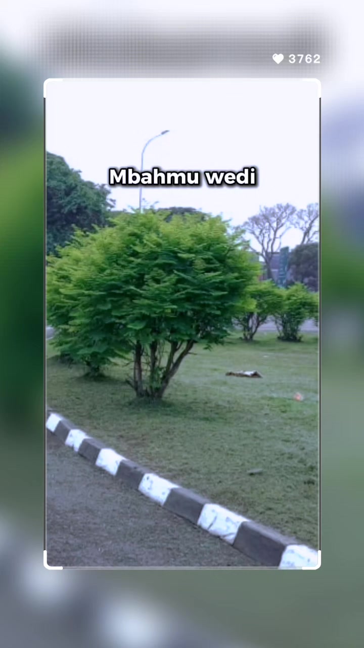 @SYAIFUL BAHRI