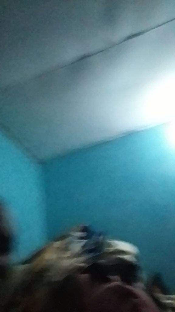 @mashimo