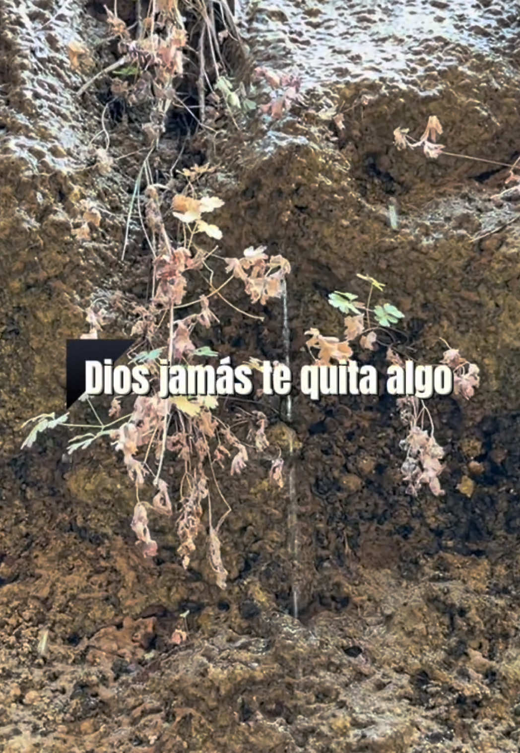 @LlamadoAlSer💫