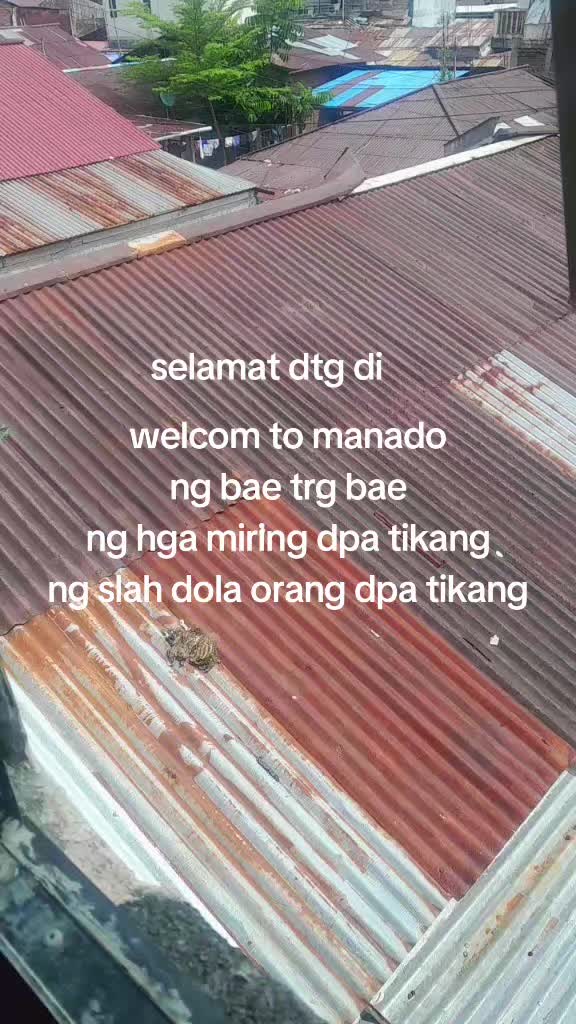 @ucup slebor