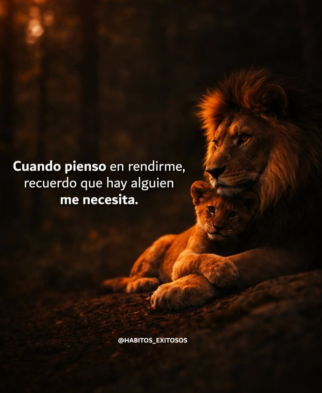 @200CAIDOS