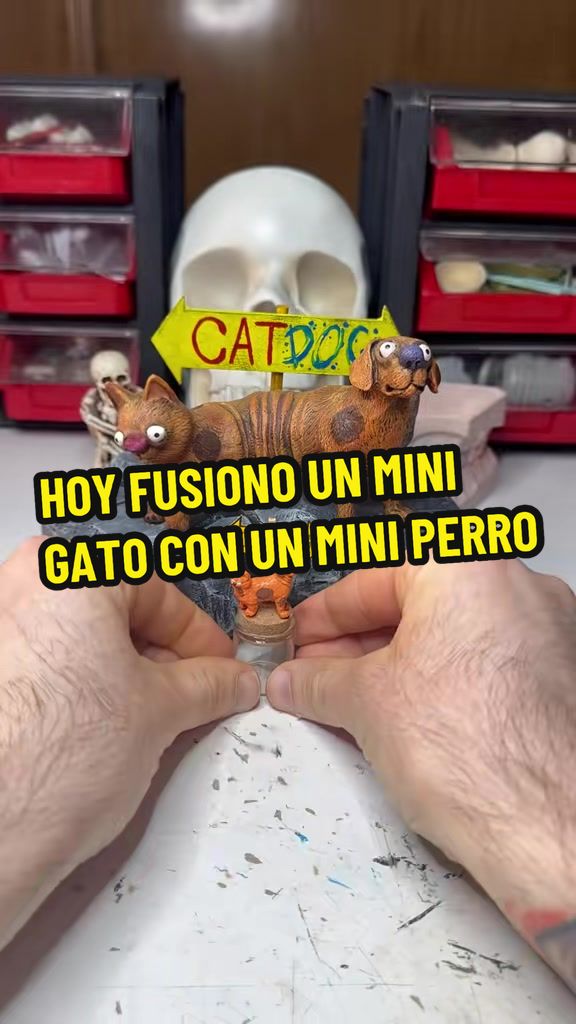 @kirokreation