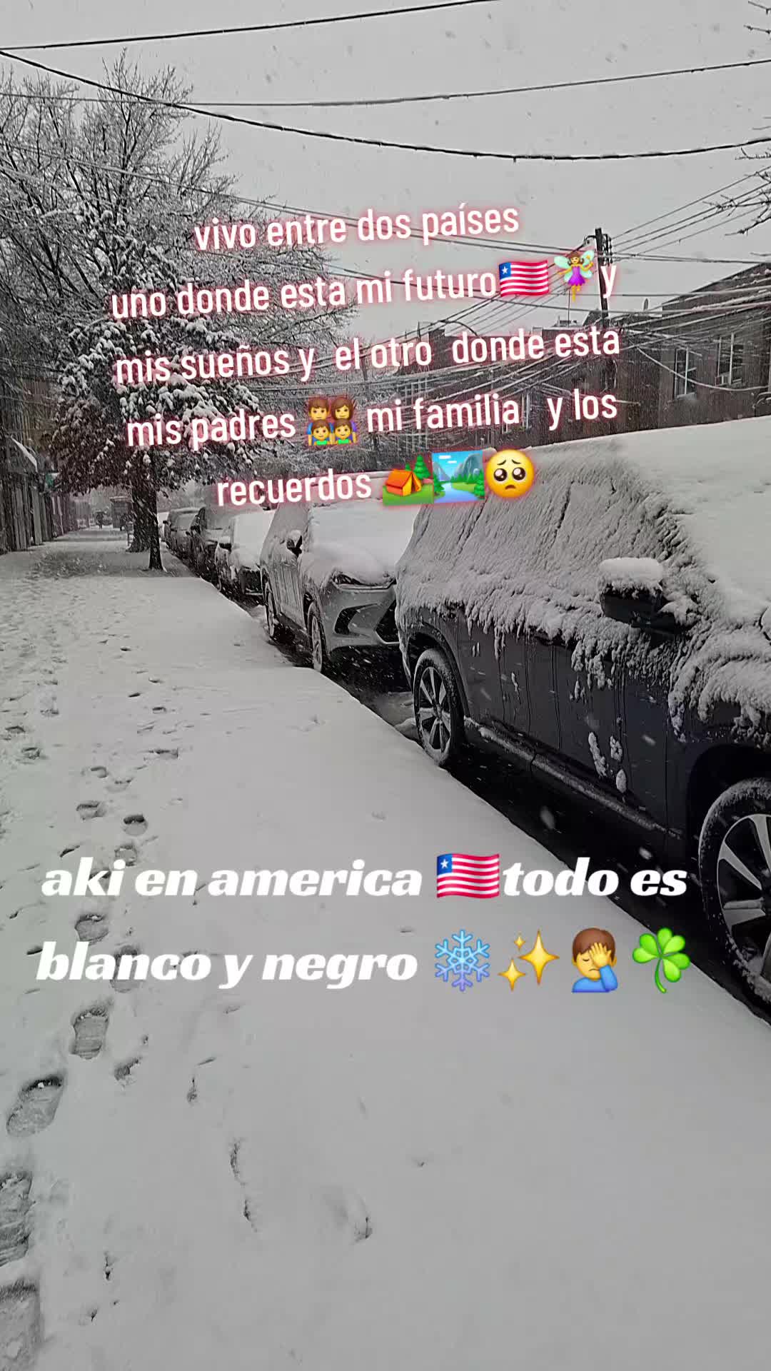 @alexandritapaltan