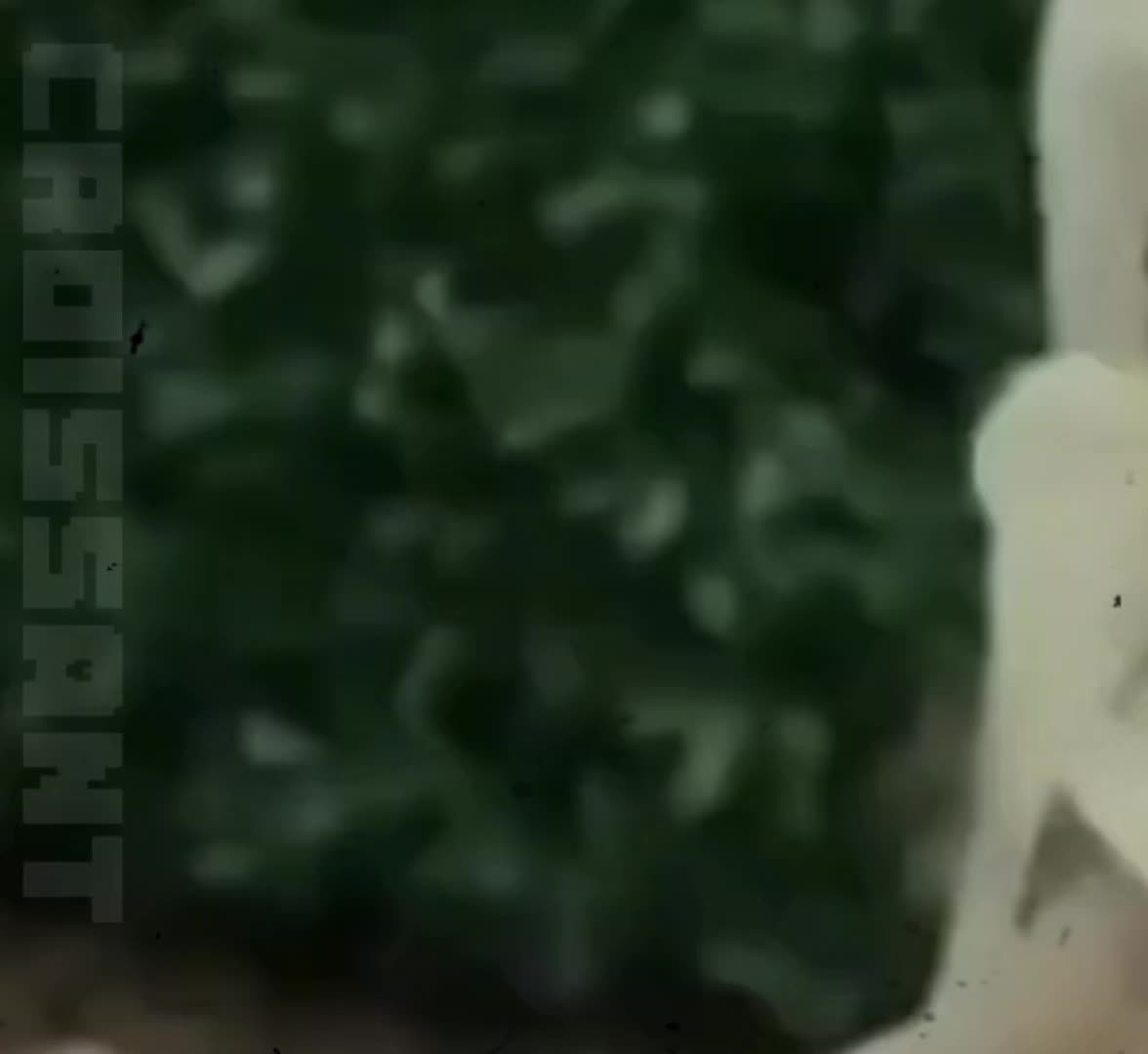 @sophiee2670