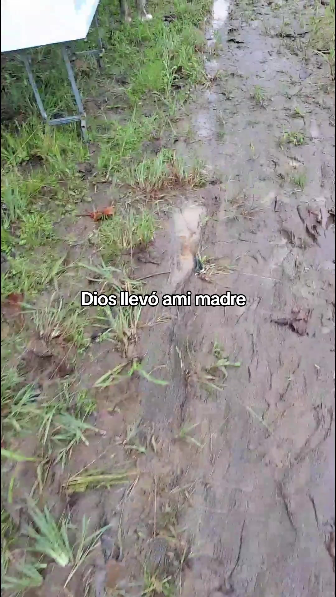 @𑁍┊ᗪ𝔲𝑙𝚏Ў☹️☹️
