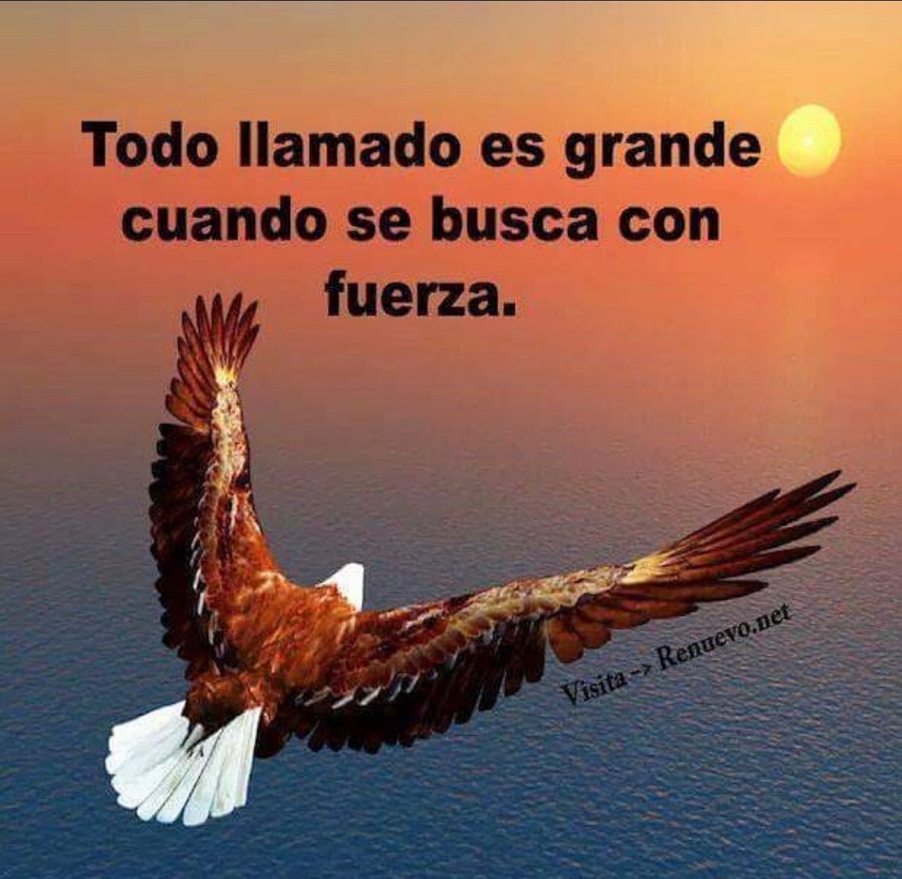 @many7777