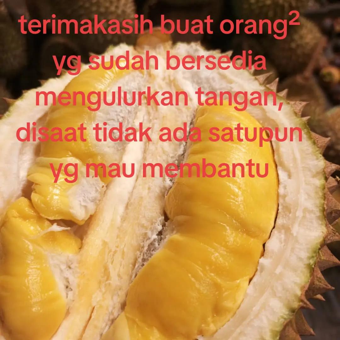 @YB Sahaja