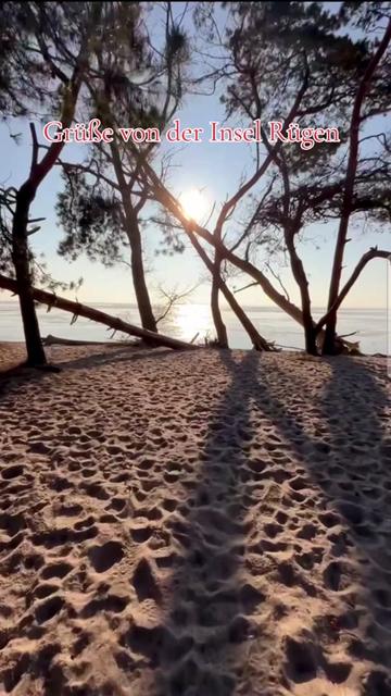 @Carola68 🏝Team Insel R&uuml;gen🏝