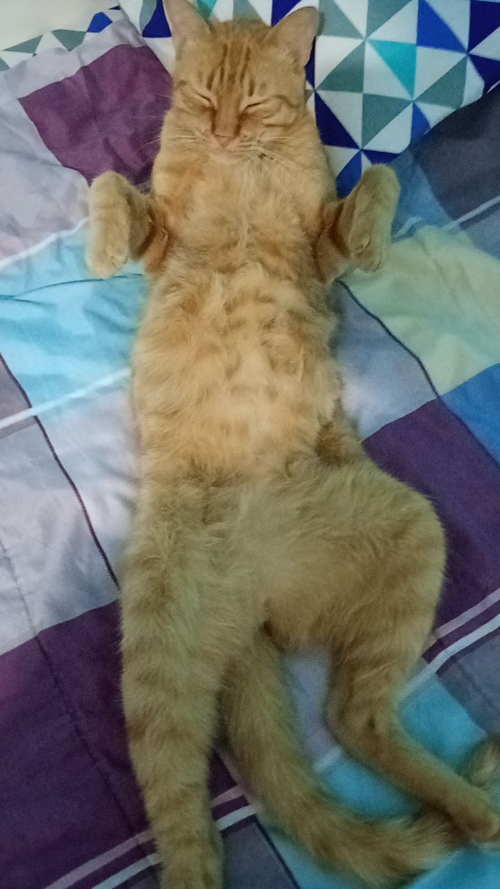 @&bull;_&bull;