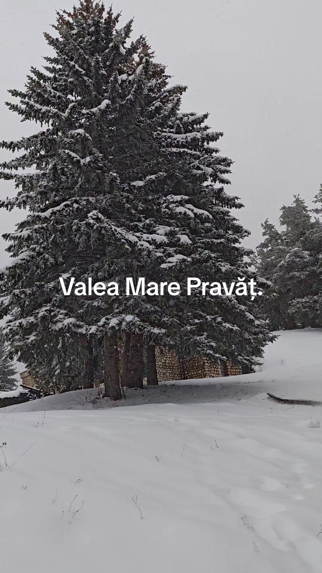 @constantinnouras