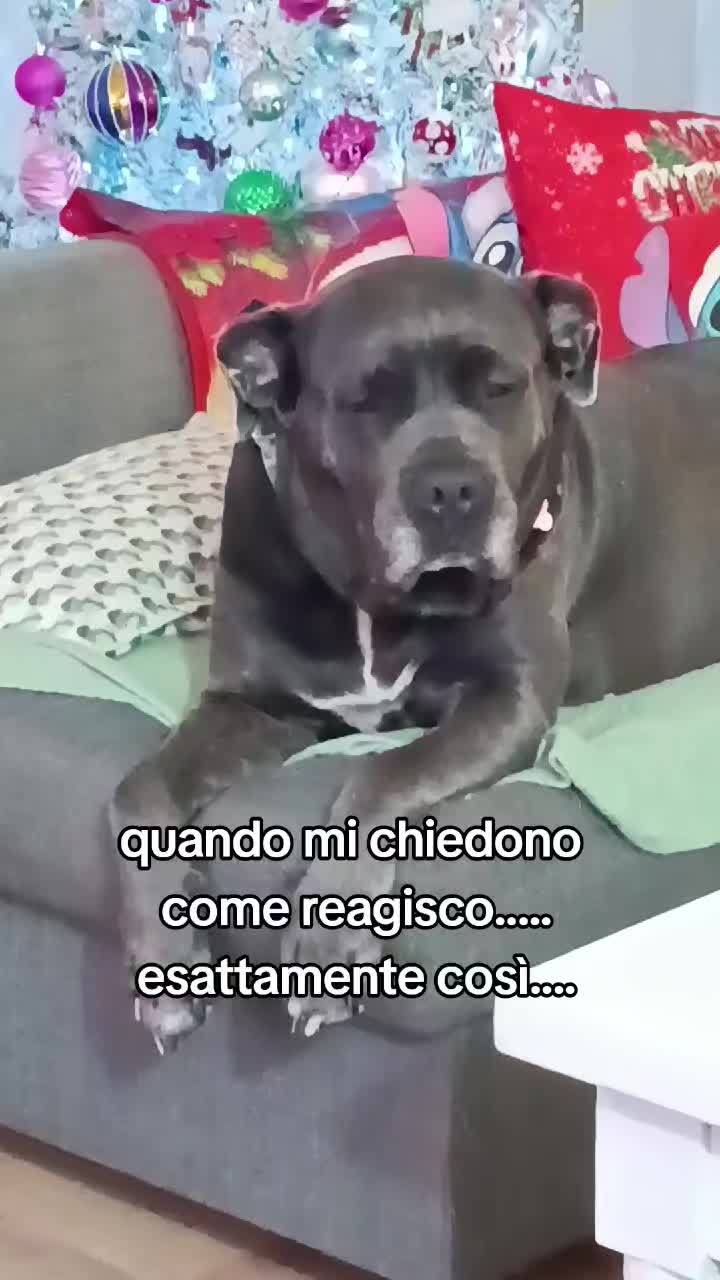 @Delibu'