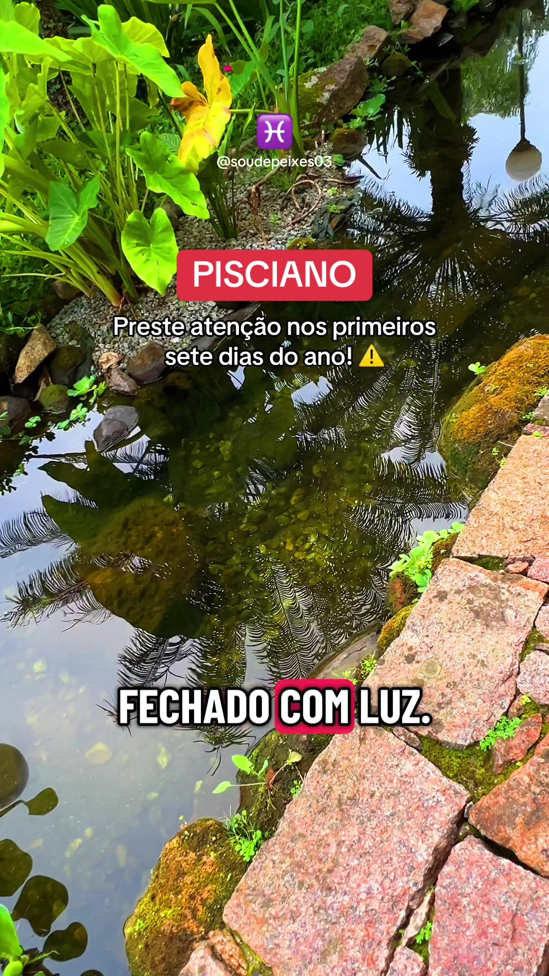@soudepeixes