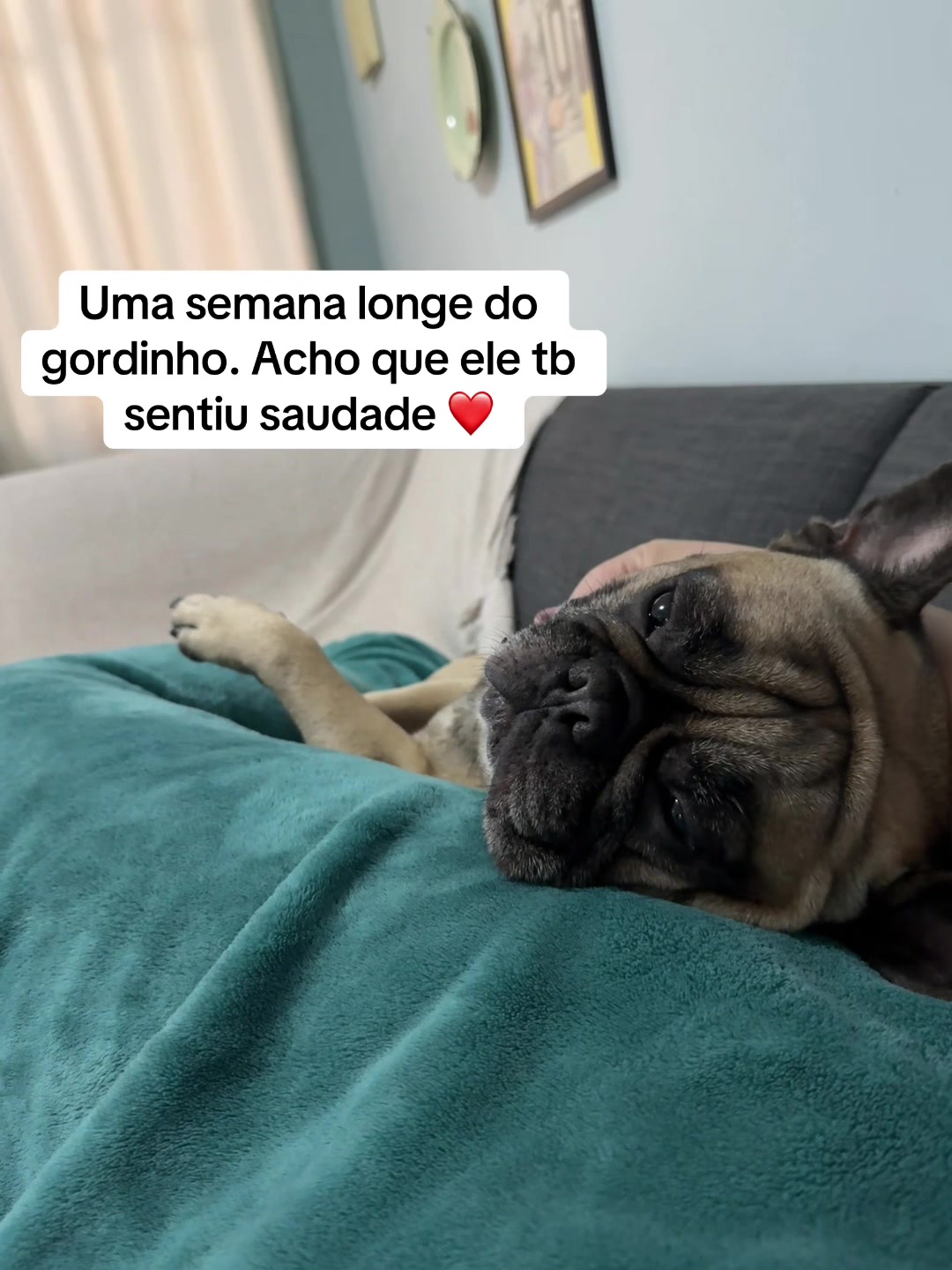 @oijude