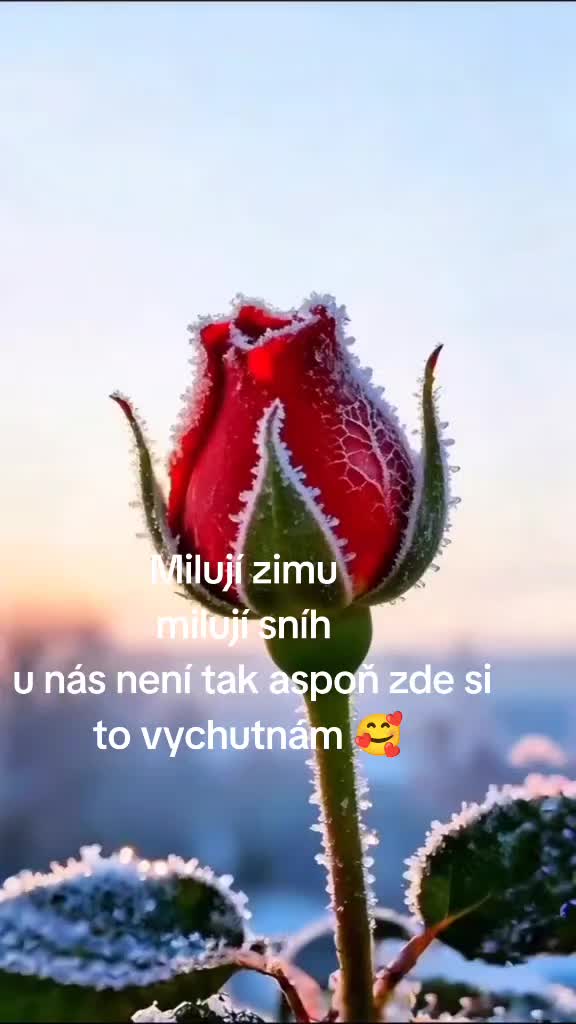 @Hedvika