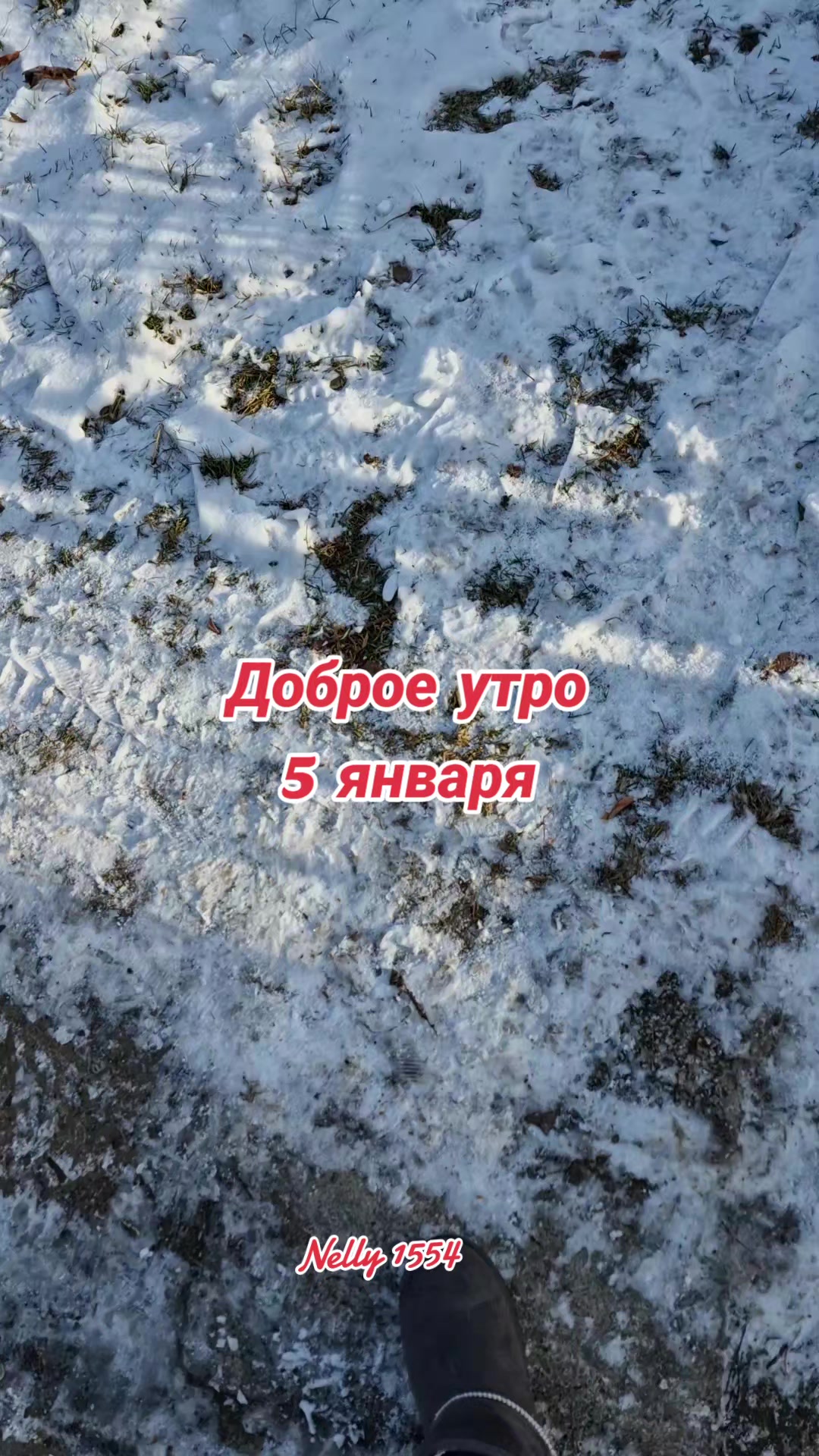 @Vladimirovna
