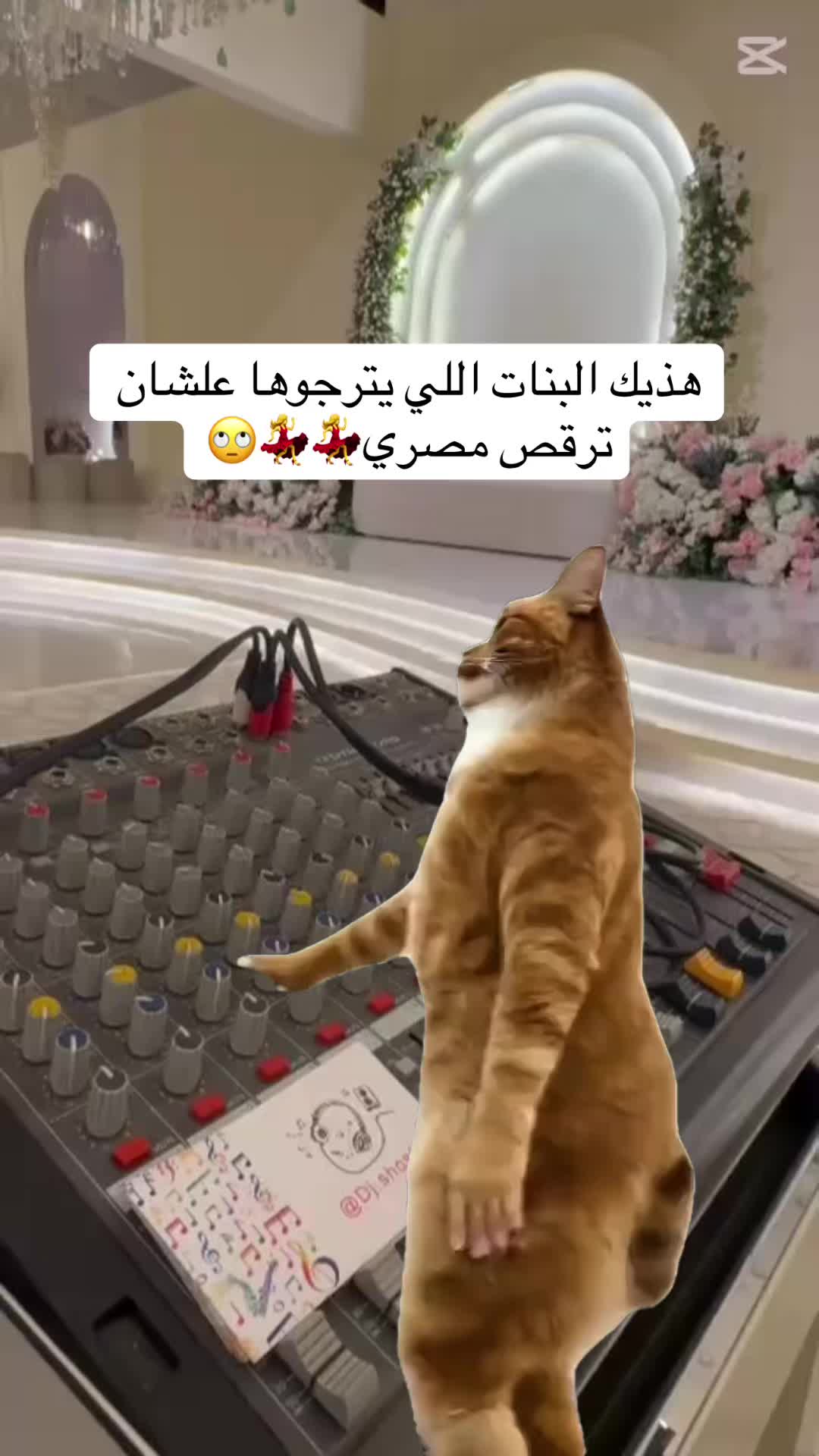 @دي جي شوشو 🎤❤️