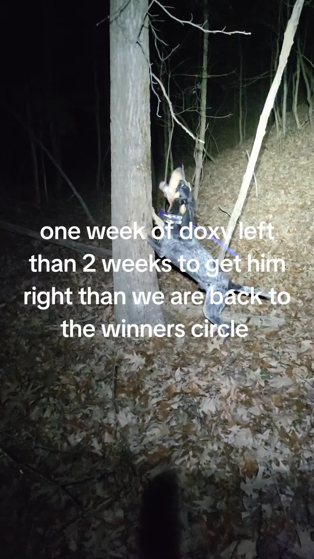 @Jeff