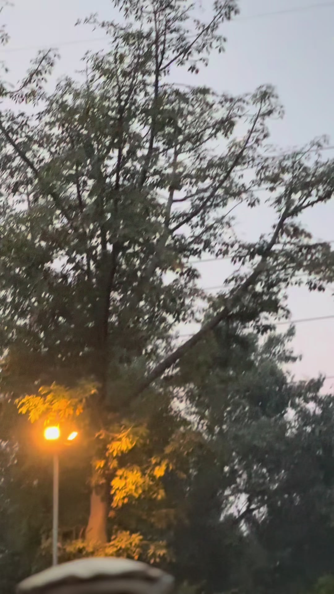 @Raja🦅